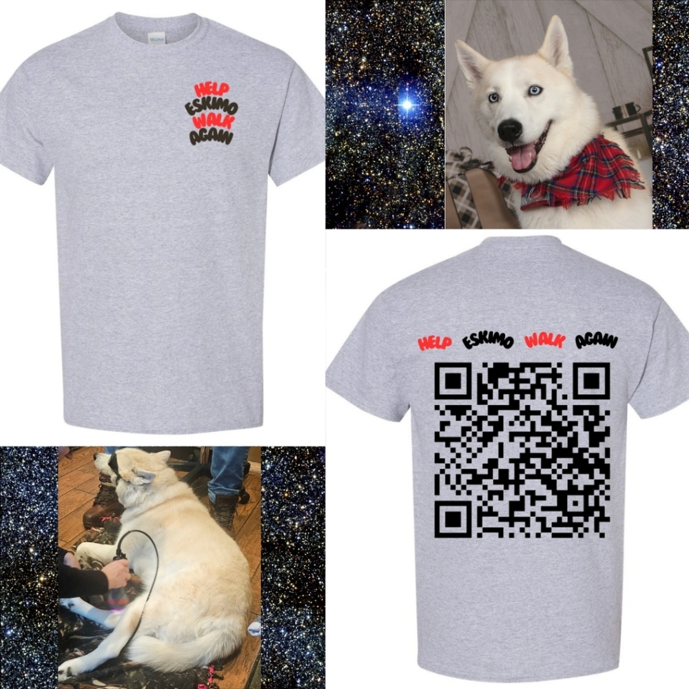 Help Eskimo Walk Again Unisex Gray Graphic Tee Front And Back Print